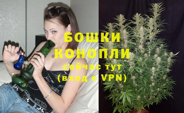 МДПВ Магас