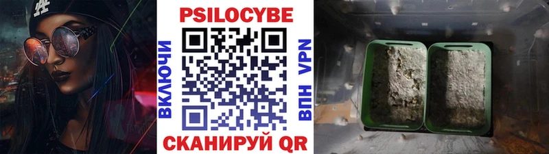 Галлюциногенные грибы MAGIC MUSHROOMS  магазин  наркотиков  ссылка на мегу ссылки  Североморск 